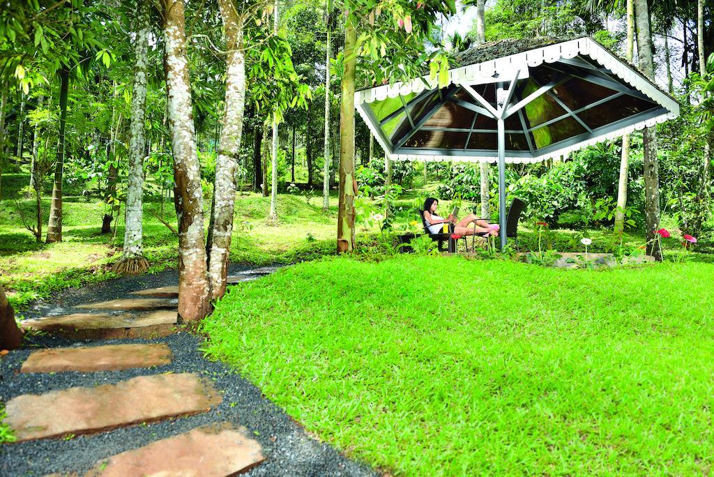 The Woods Resorts Wayanad Sultan Bathery Ngoại thất bức ảnh