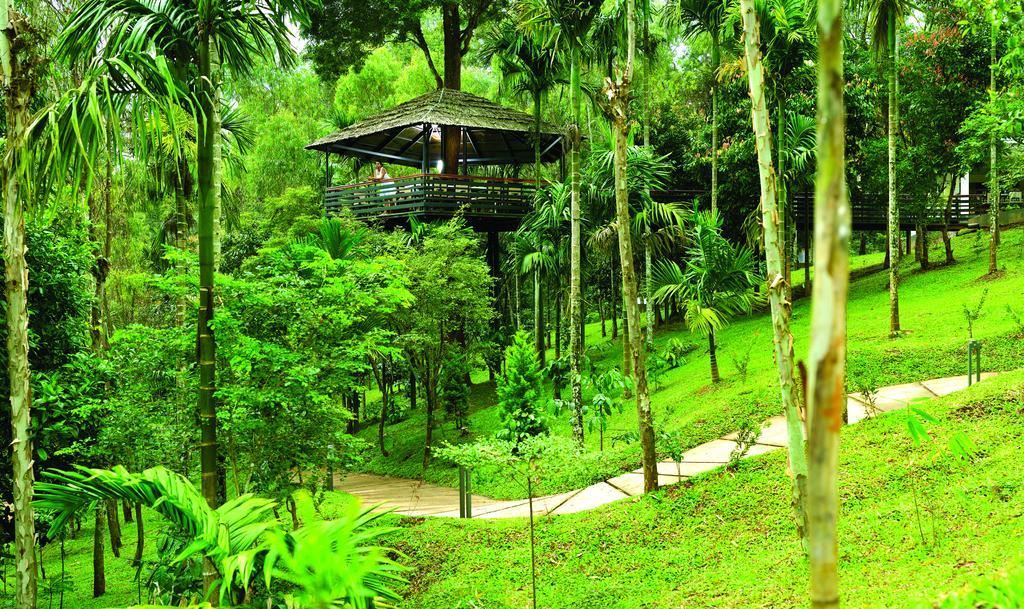 The Woods Resorts Wayanad Sultan Bathery Ngoại thất bức ảnh