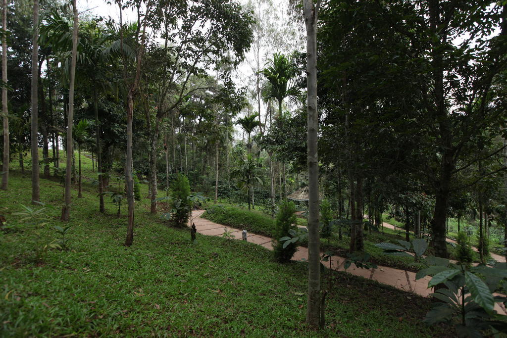 The Woods Resorts Wayanad Sultan Bathery Ngoại thất bức ảnh