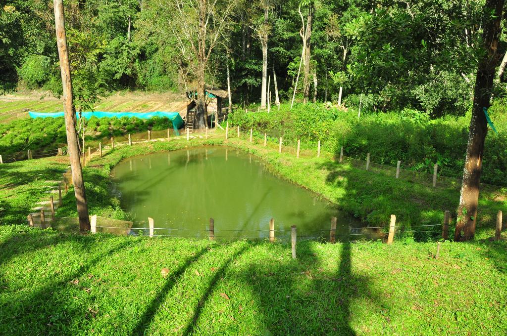 The Woods Resorts Wayanad Sultan Bathery Ngoại thất bức ảnh