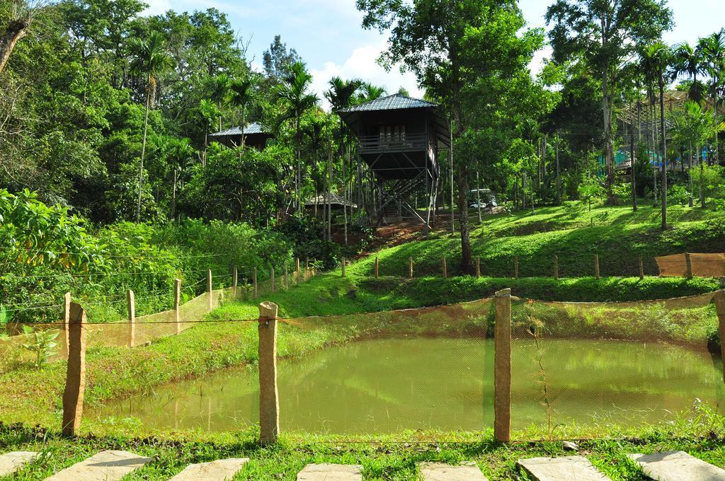 The Woods Resorts Wayanad Sultan Bathery Ngoại thất bức ảnh