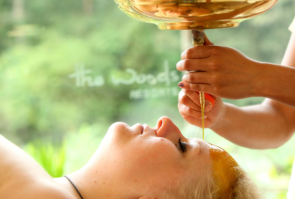 The Woods Resorts Wayanad Sultan Bathery Ngoại thất bức ảnh