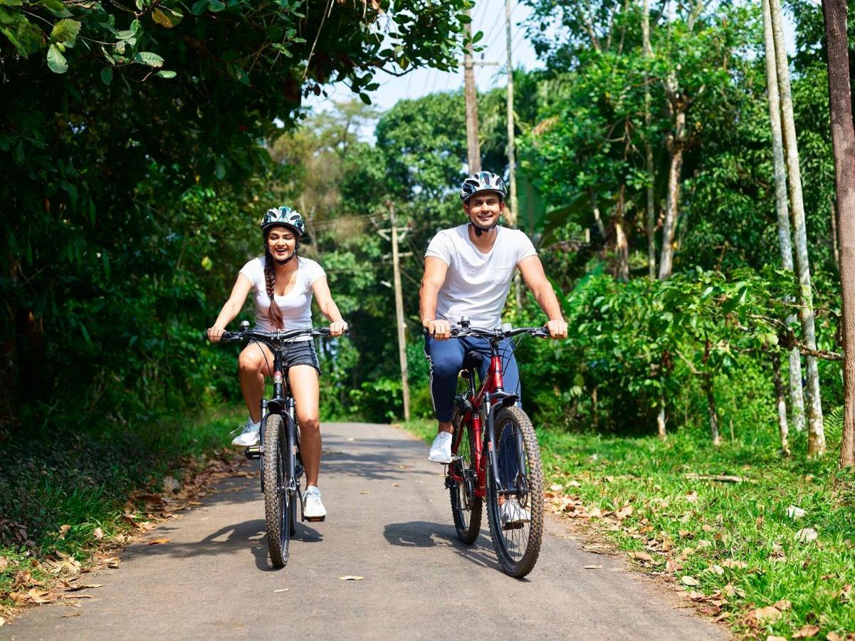 The Woods Resorts Wayanad Sultan Bathery Ngoại thất bức ảnh