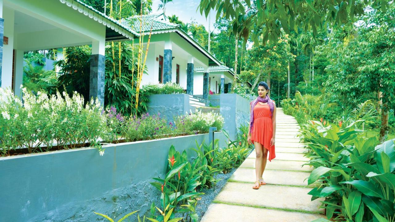 The Woods Resorts Wayanad Sultan Bathery Ngoại thất bức ảnh