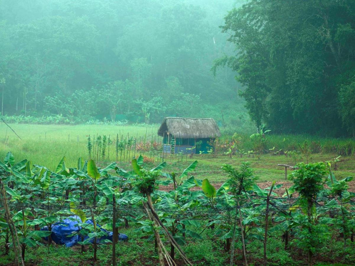 The Woods Resorts Wayanad Sultan Bathery Ngoại thất bức ảnh