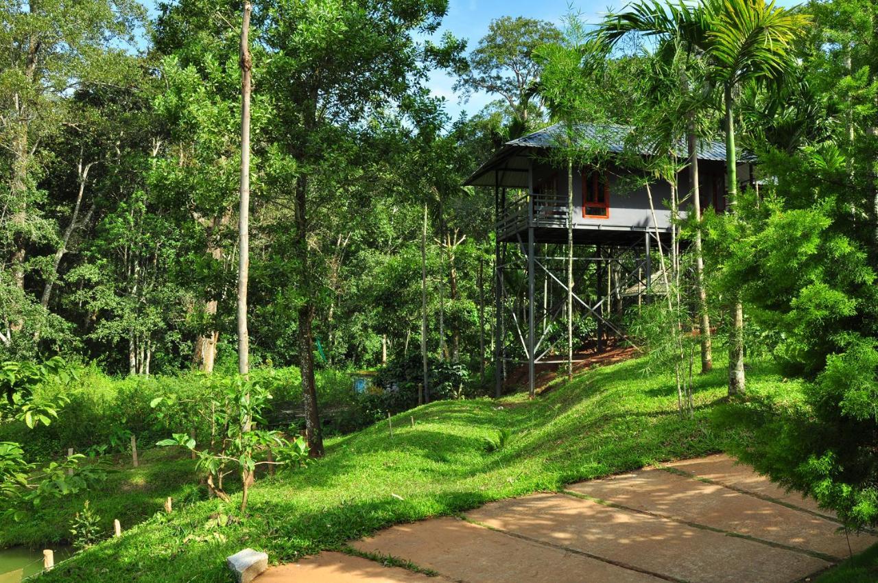 The Woods Resorts Wayanad Sultan Bathery Ngoại thất bức ảnh