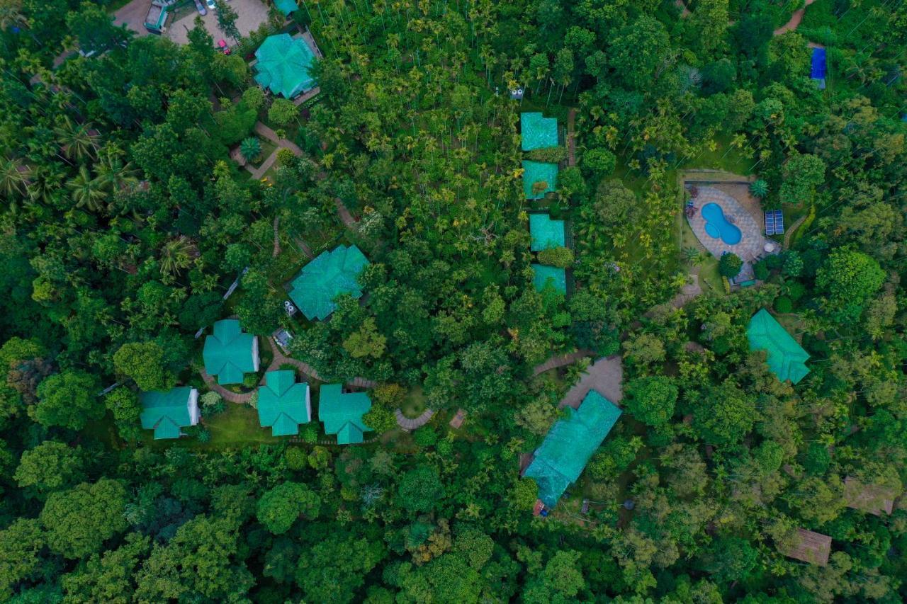 The Woods Resorts Wayanad Sultan Bathery Ngoại thất bức ảnh