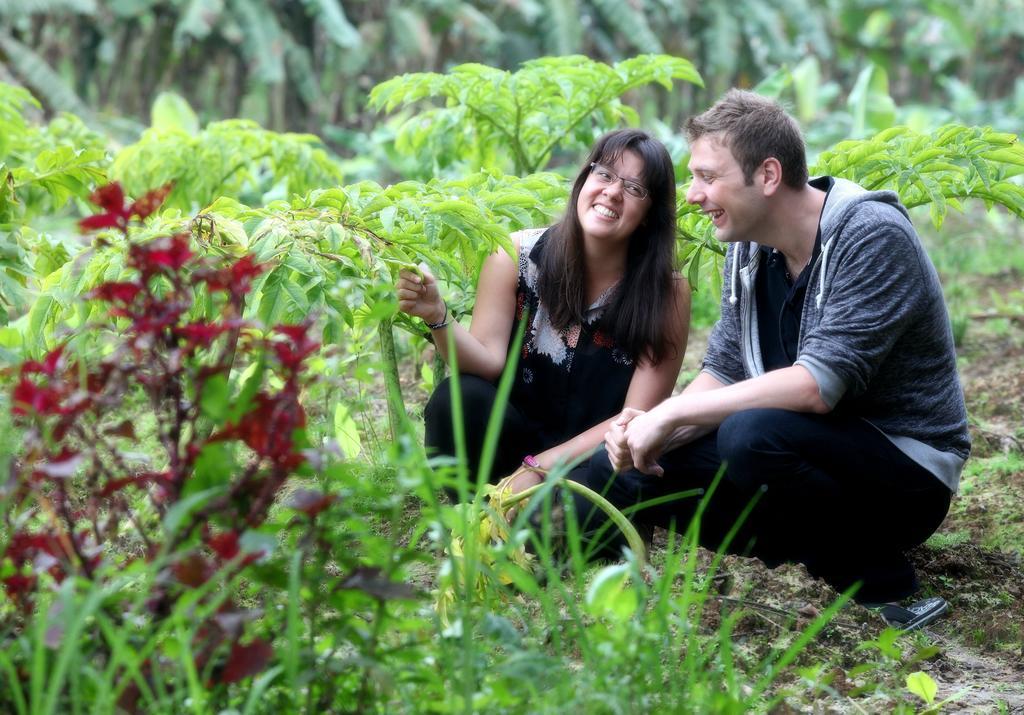 The Woods Resorts Wayanad Sultan Bathery Ngoại thất bức ảnh