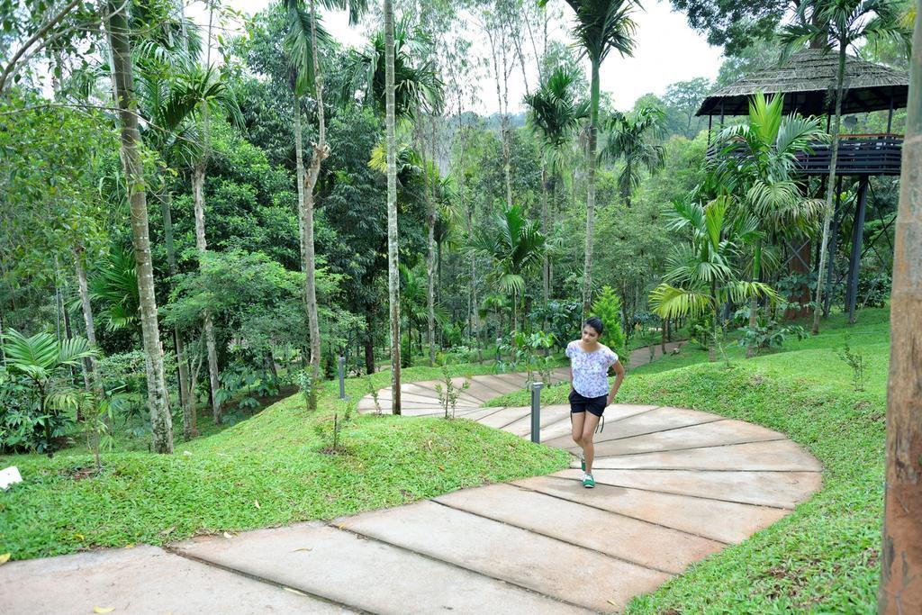 The Woods Resorts Wayanad Sultan Bathery Ngoại thất bức ảnh