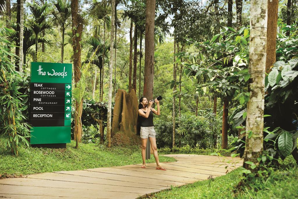 The Woods Resorts Wayanad Sultan Bathery Ngoại thất bức ảnh