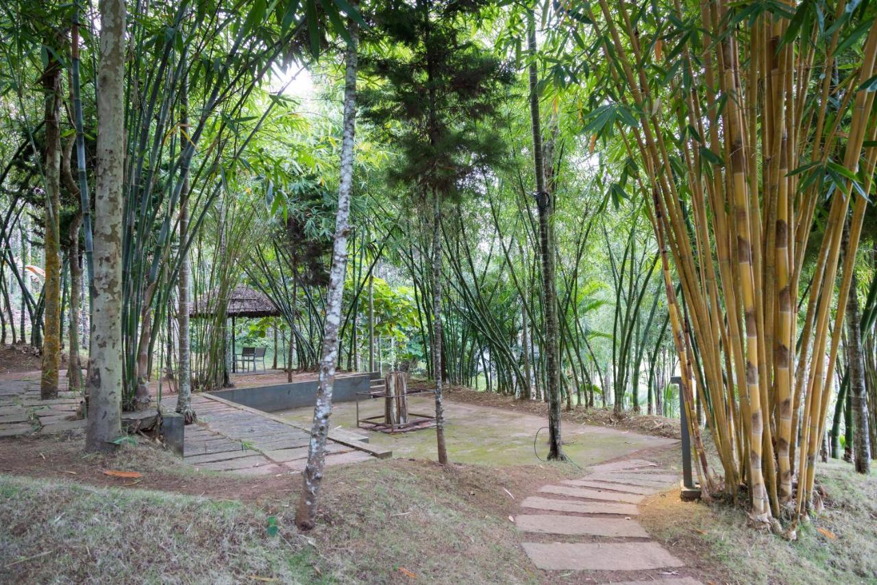 The Woods Resorts Wayanad Sultan Bathery Ngoại thất bức ảnh