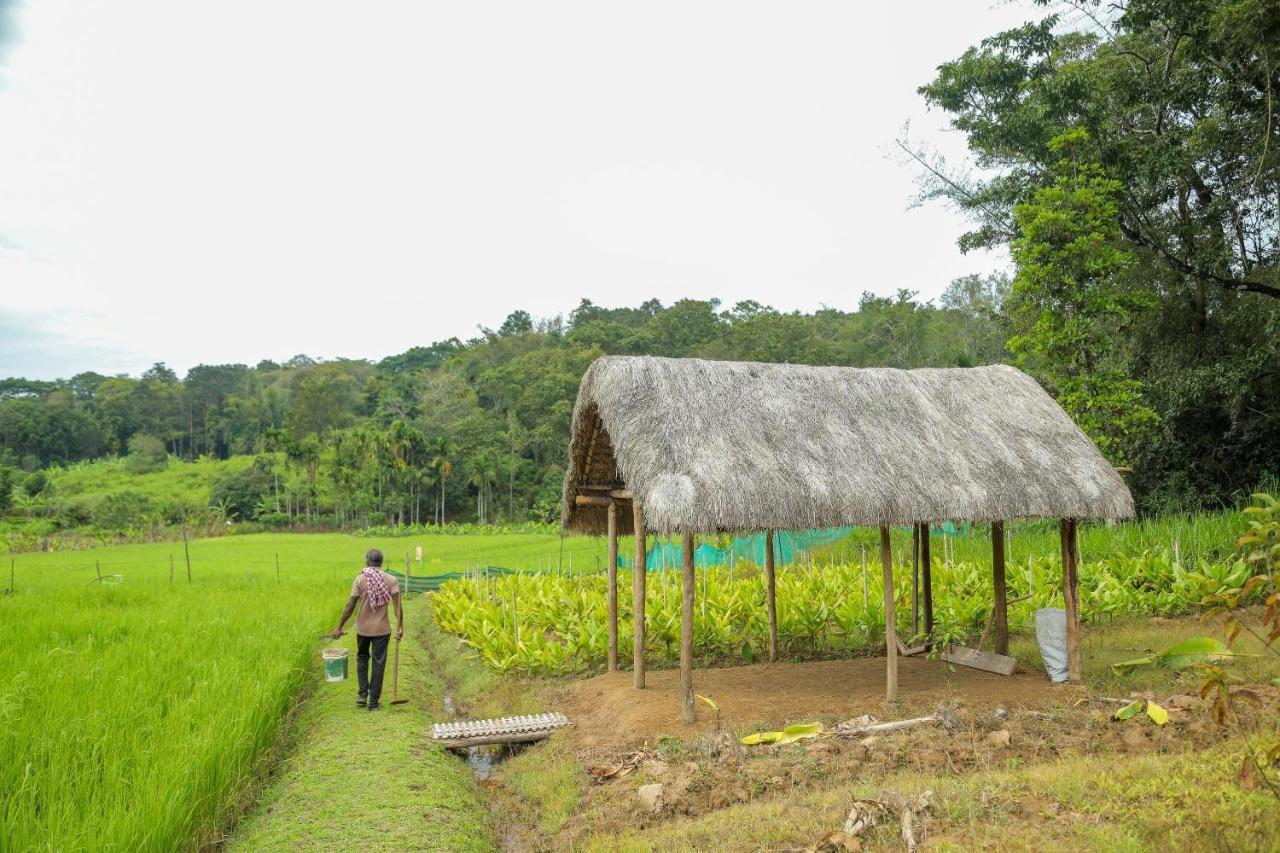 The Woods Resorts Wayanad Sultan Bathery Ngoại thất bức ảnh