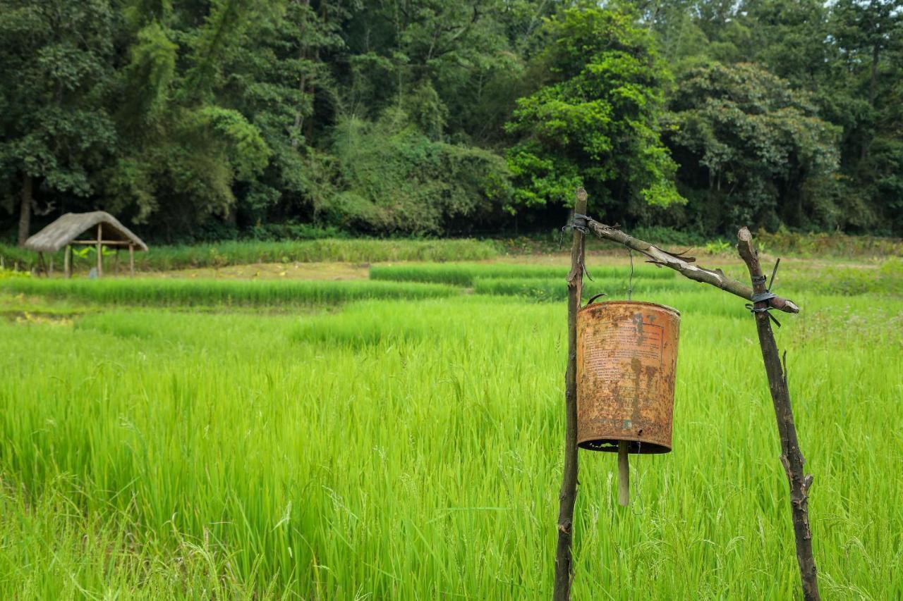 The Woods Resorts Wayanad Sultan Bathery Ngoại thất bức ảnh