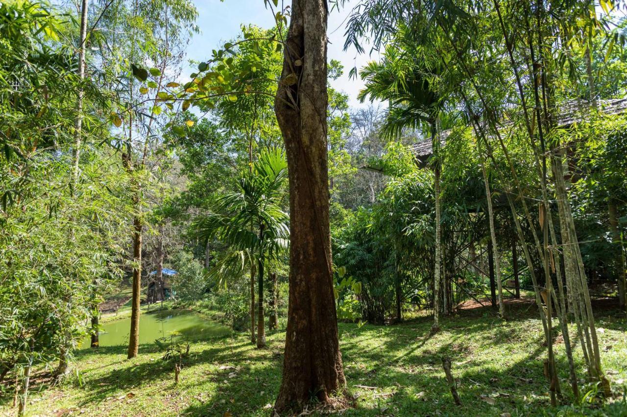 The Woods Resorts Wayanad Sultan Bathery Ngoại thất bức ảnh