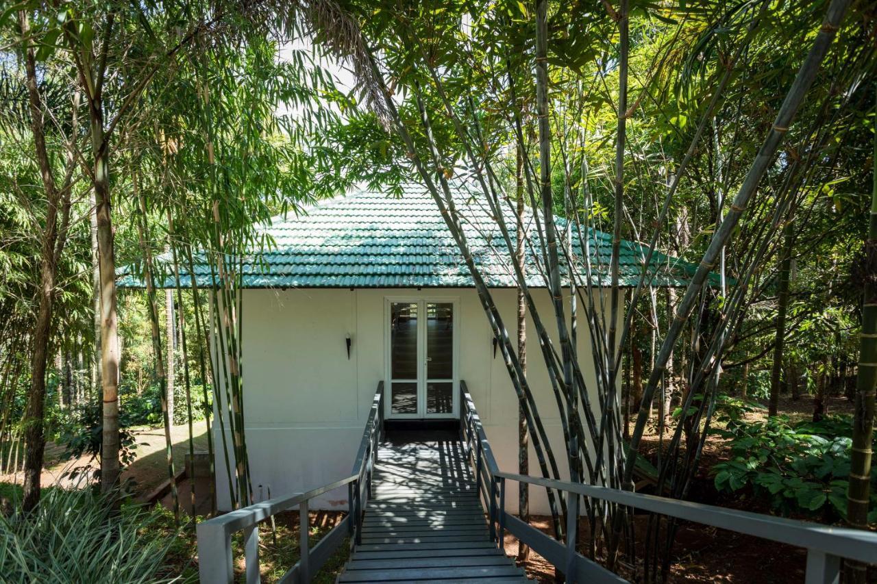 The Woods Resorts Wayanad Sultan Bathery Ngoại thất bức ảnh